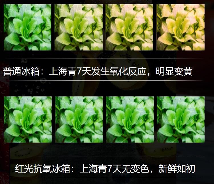 1729300475909047.jpeg 2827a1a6c2684995b273608861487d78~noop.jpeg